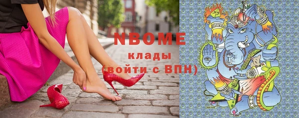 сатива Баксан